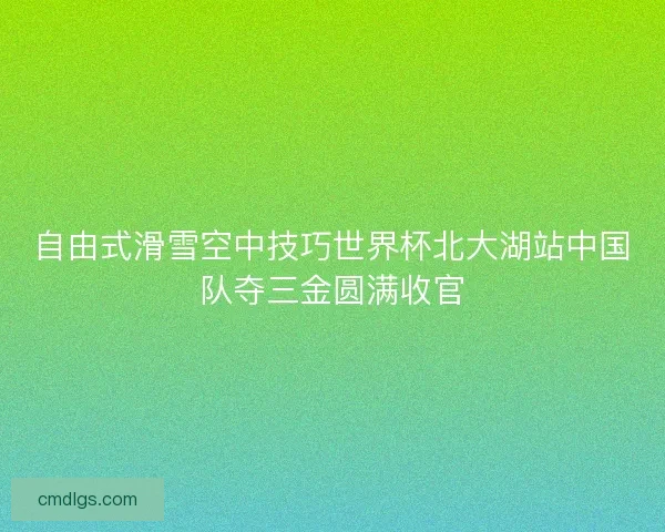 自由式滑雪空中技巧世界杯北大湖站中国队夺三金圆满收官