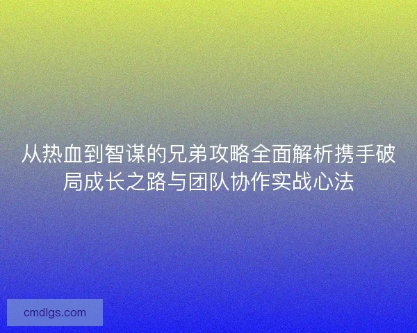 从热血到智谋的兄弟攻略全面解析携手破局成长之路与团队协作实战心法