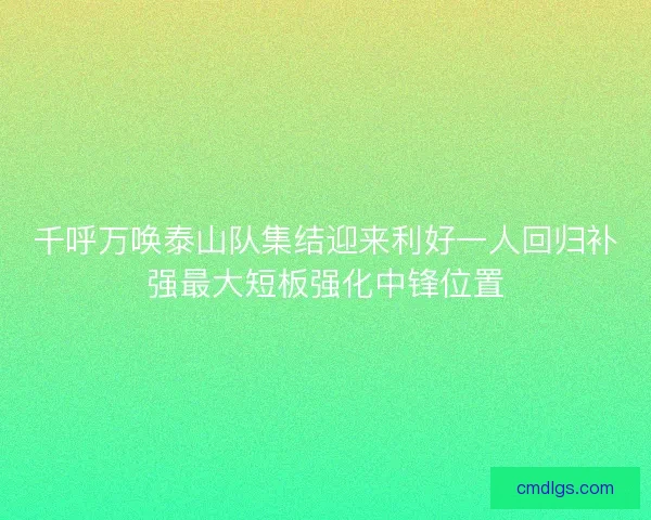 千呼万唤泰山队集结迎来利好一人回归补强最大短板强化中锋位置 千呼万唤泰山队集结迎来利好一人回归补强最大短板强化中锋位置